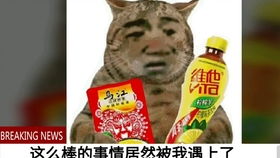 二、 商品种类对比