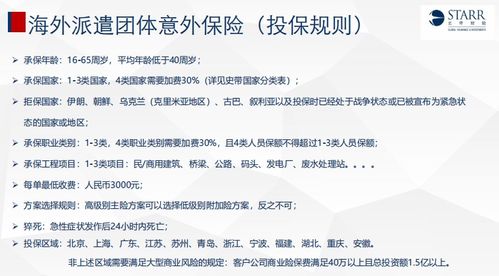 Shein海外事付专员在提升客服服务质量和团队竞争力中的关键作用