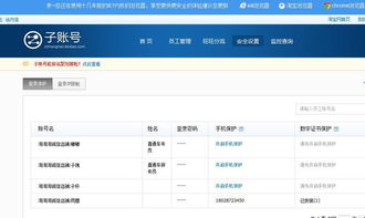 三、 淘宝子账号的实用价值