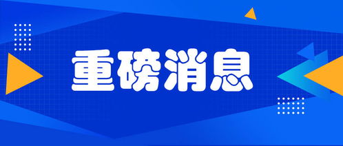 二、商标的分类与描述
