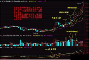 一、 Ozon股票市场动态分析