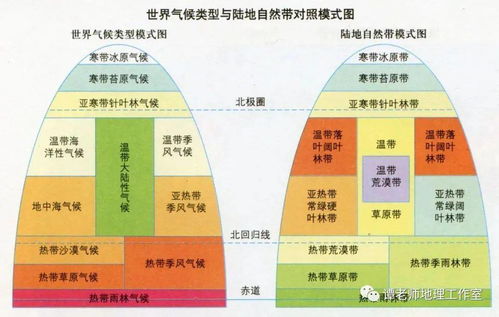 卡派的定义与特点