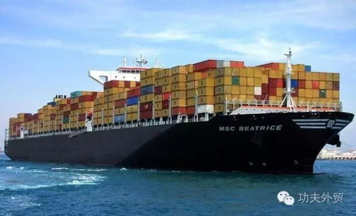 3. 装货与货物检查