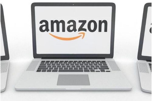 本地配送的多环节协同与高效运作