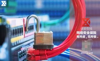 守护者与贡献者