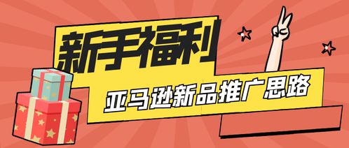 六、 亚马逊新品推广的思路与具体操作步骤