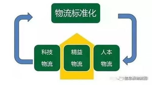 标准化操作，提升包装效率与质量