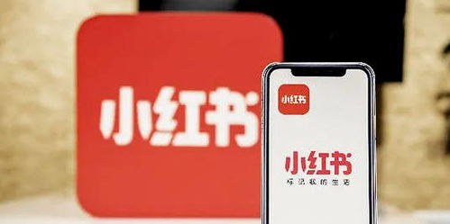 五、 蒲公英笔记复审流程