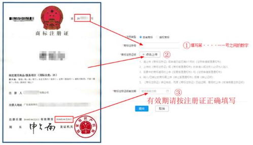 1. 自有商标上传流程