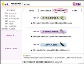 二、 支付操作步骤详解