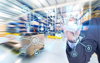 四、 应急清关与运输保障