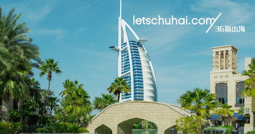 1. 确定公司类型与名称