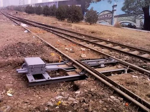 二、 固定式零担运输的特点与挑战