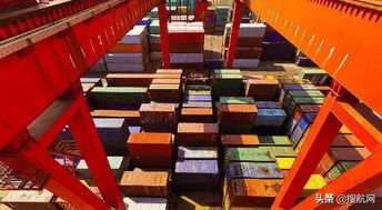 六、 关注国际形势和政策变化