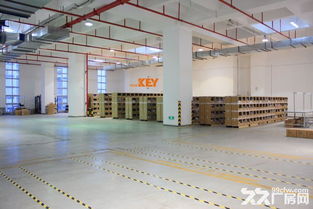 动态路径优化：保税区与转口贸易的协同效应