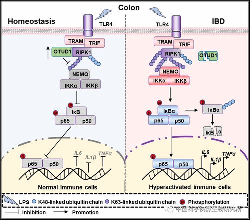 跨境电商团队细节管理
