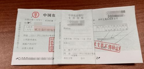 二、 理赔难题：空头支票与漫长的等待