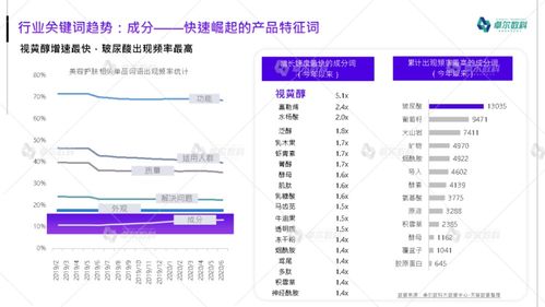 品牌建设与差异化竞争