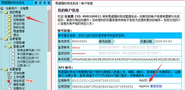 如何进行国际小包物流查询？