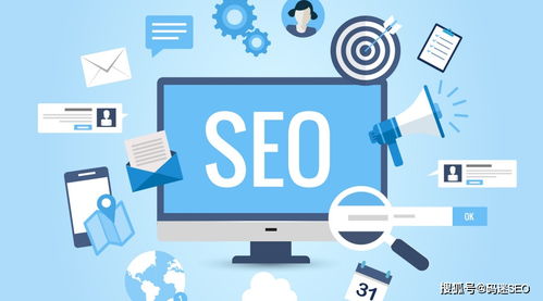 一、 站内SEO评分工具：WooRank