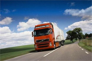 （一）货源不确定性及计划性差