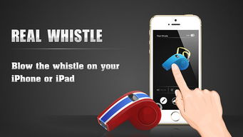 第一步：登入Real.de官网