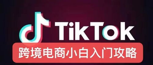 一、新手村必读：搞懂TikTok的商业生态