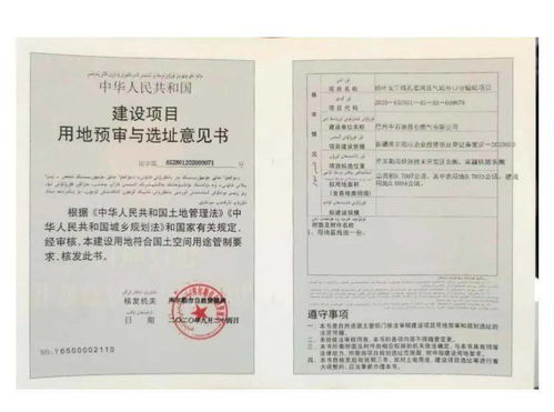 注册公司与获得外贸资质：合法经营保障