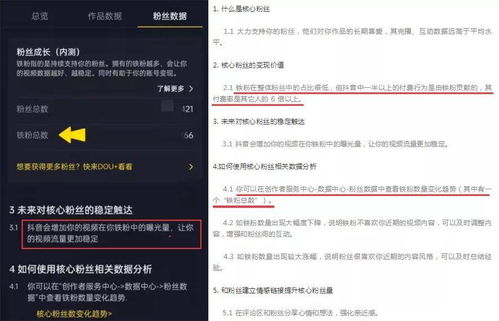 算法与规则变化带来的流量挑战