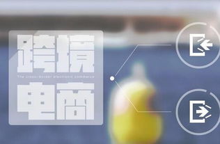 1. 数字产品和服务