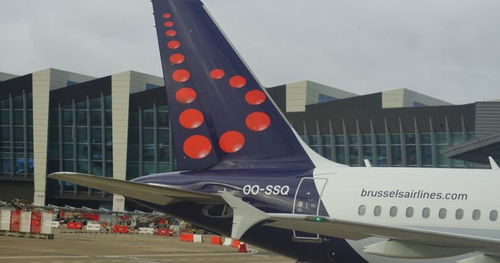 橙联墨西哥标准派送：覆盖范围与时效性