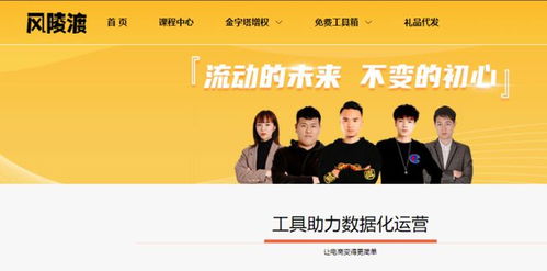 五、 电商平台多样化，各具特色