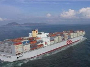 三、 国际海运物流市场的发展趋势