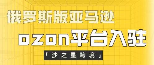 国际卖家面临的挑战