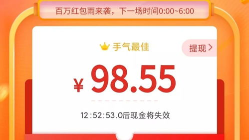 拼多多多多支付的平安性分析