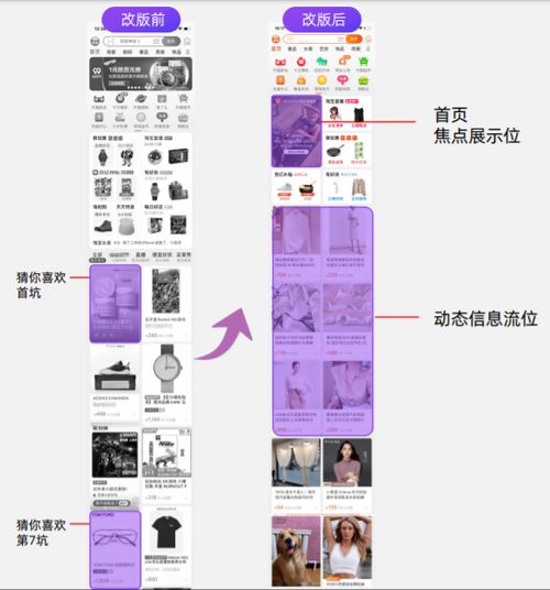 二、 满天星计划的具体内容