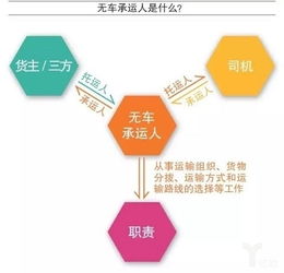 选择承运人和航线