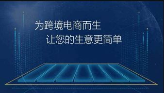 二、 第三方货代物流服务的特殊处理