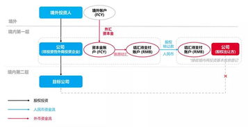结汇流程与注意事项