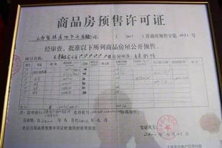 二、 历史违规记录对退款的影响时效