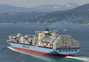 2. 深圳市巡洋国际货运代理有限公司