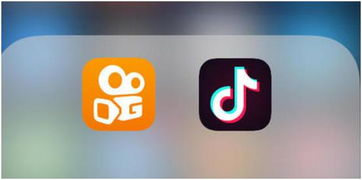 二、 平台优势与劣势分析