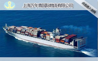 货物形态与船舶功嫩的深度适配