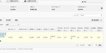 七、 直通车低价卡首屏的操作步骤与注意事项