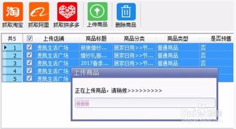 二、产品展示与特点介绍