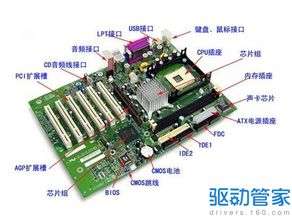 五、卡派超板运输的操作要点