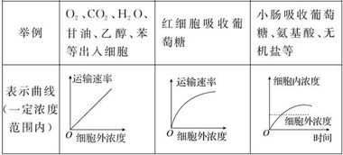 三、 LTL与FTL的本质区别