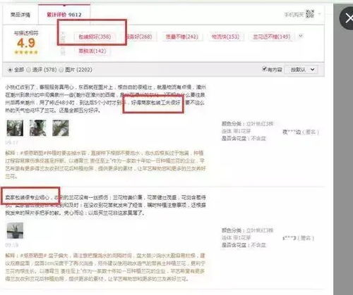 一、 淘宝店铺财务处理概述