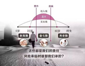 承运人赔偿上限与货损险的必要性