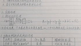 二、 REACH报告的内容和要求